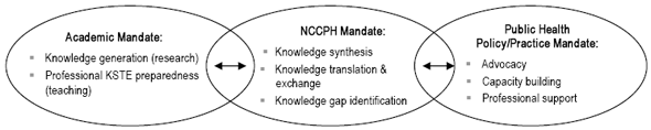 Figure 4. The KSTE mandate within the broader research to practice context