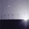 Report 2004