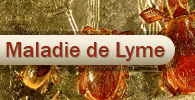 Maladie de Lyme