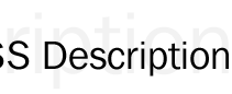 NDSS Description