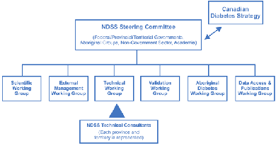 The Governance Structure