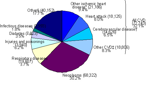 Number and percentage of the leading causes of death, Canada, 2004