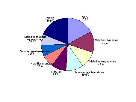 Pourcentage d’hospitalisations liées à tous les diagnostics*, Canada, 2005-2006