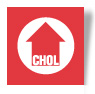 Cholesterol