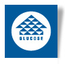 High Glucose