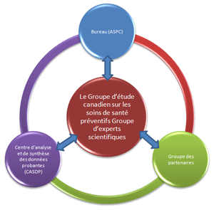 Figure 1. Structure du Groupe d'&eacute;tude canadien sur les soins de sant&eacute; pr&eacute;ventifs