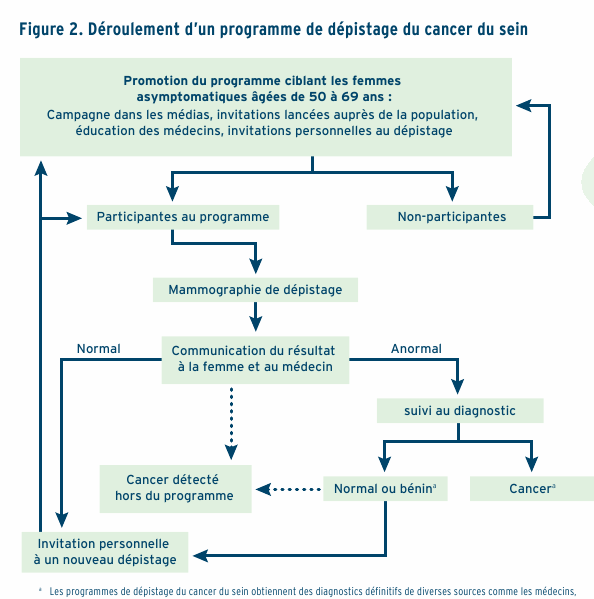 Figure 2. D&eacute;roulement d'un programme de d&eacute;pistage du cancer du sein: Promotion du programme ciblant les femmes asymptomatiques &acirc;g&eacute;es de 50 &agrave; 69 ans