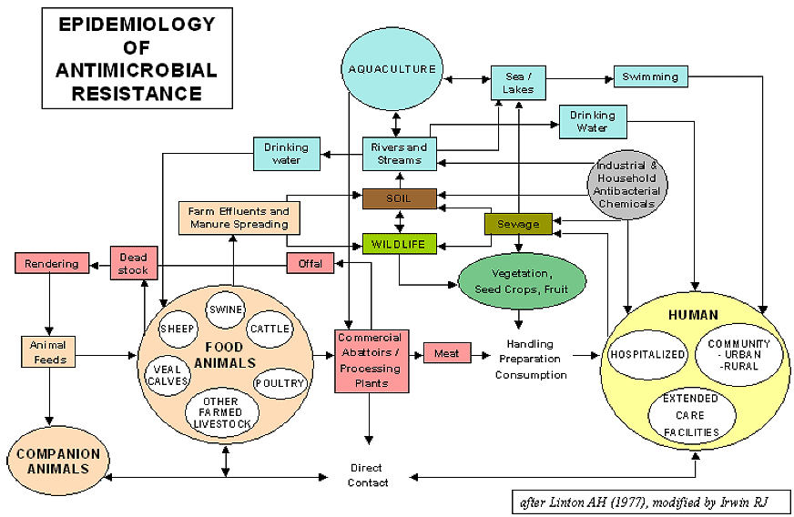 dupont and film formimg residual antimicrobial solution