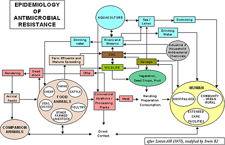 Epidemiology of Antimicrobial Resistance
