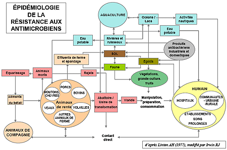 &Eacute;pid&eacute;miologie de la r&eacute;sistance aux antimicrobiens