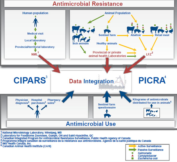 Antimicrobial Resistance