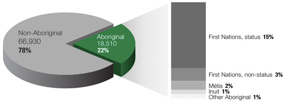 Aboriginal Heritage of Children in Substantiated Child Maltreatment Investigations