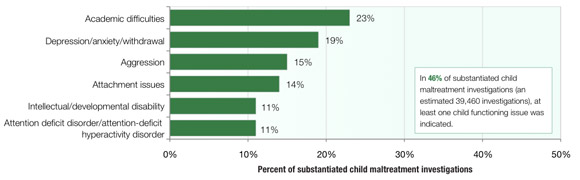 Select Child Functioning Issues in Substantiated Child Maltreatment Investigations