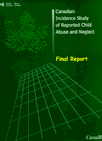 CIS: Final Report