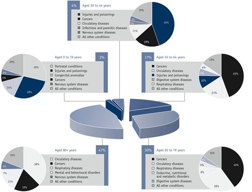 Figure 3.3 Mortality by major causes and age groups, Canada, 2006