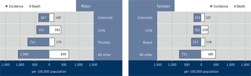 Figure 3.4 Incidence and death rate by selected cancers and sex, Canadian population aged 65 years and older, 2006