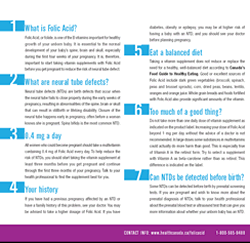 Folic Acid pamphlet inside cover