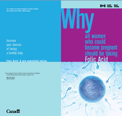 Folic Acid pamphlet outside cover