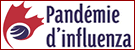 Renseignements au sujet de la pand&eacute;mie d'influenza