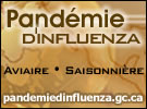 Pand&eacute;mie d'influenza