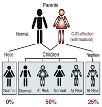 Risk of genetic prion disease decreases with more distant genetic relationship to an affected person
