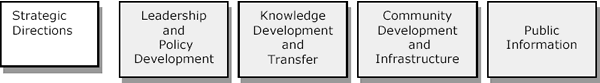 Strategic Directions