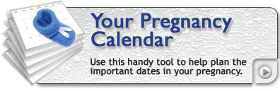 Pregnancy calendar - Use this handy tool to help plan the important dates in your pregnancy, find out about important milestones in your baby&rsquo;s development.