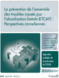 La pr&eacute;vention de l'ensemble des troubles caus&eacute;s par l'alcoolisation f&oelig;tale (ETCAF)&nbsp;: Perspectives canadiennes