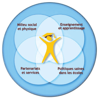 Milieu social et physique, Partenariats et services, Politiques saines dans les écoles, Enseignement et apprentissage