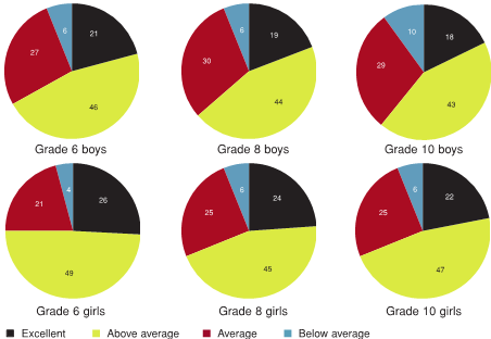 Figure 4.3 - Academic achievement, by grade and gender (%)
