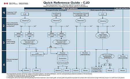 DECISION ALGORITHM