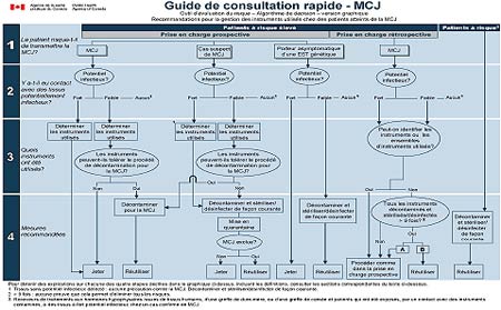 ALGORITHME D&Eacute;CISIONNEL (VERSION GRAPHIQUE)