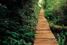 Sentier de promenade