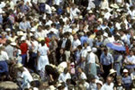 Crowd of people