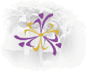 Flower Image