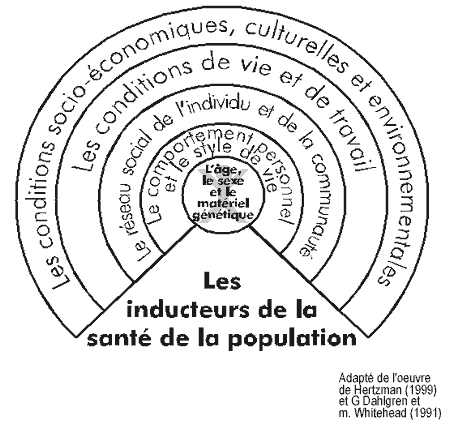 Les inducteurs de la santé de la population