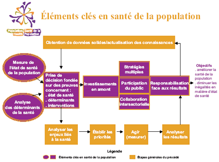 Éléments clés en santé de la population