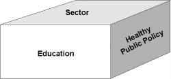 Graph 13