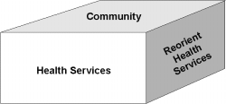 Graph 14