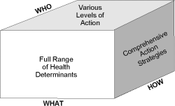 Graph 4