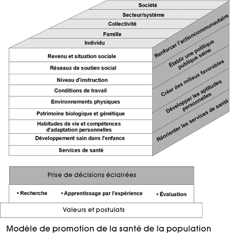 Mod&egrave;le de promotion de la sant&eacute; de la population