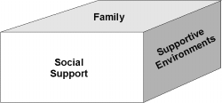 Graph 8