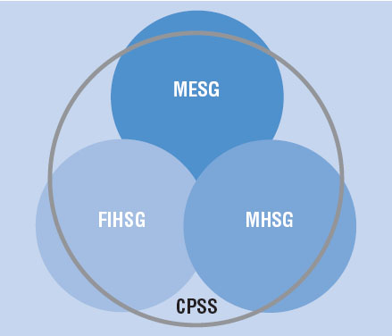 Structure of the Canadian Perinatal Surveillance System