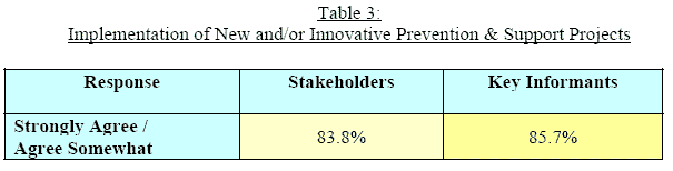 table 3: Implementation of New and/or Innovative Prevention & Support Projects