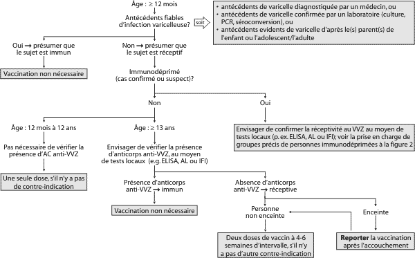 Figure 1. Algorithme de la vaccination antivaricelleuse chez les personnes de >=&nbsp;12&nbsp;mois