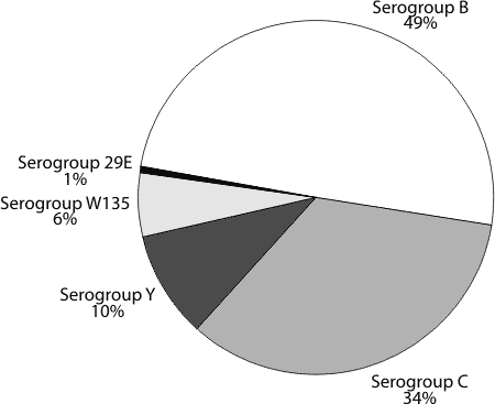 Figure 5. Serogroup distribution of IMD cases, 1999 (n = 185)*