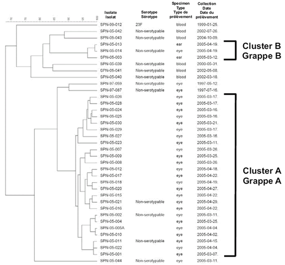 Figure 2. Dendrogram depicting fbAFLP analysis of S. pneumoniae isolates. Clusters A and B denote outbreak cases