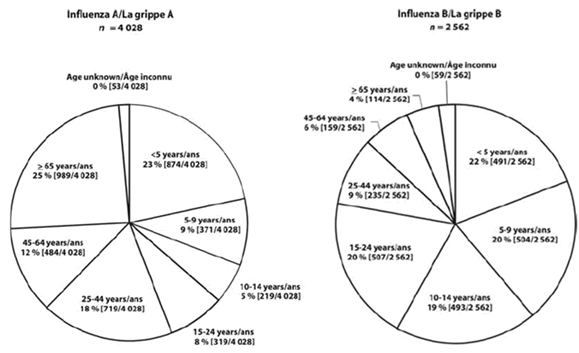 Figure 2. Proportionate distributions of case-by-case data, by influenza type and by age group, Canada, 2005-2006