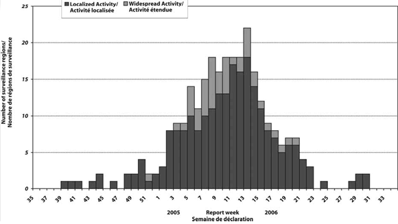 Figure 5. Number of surveillance regions reporting localized or widespread influenza activity, by week, Canada, 2005-2006