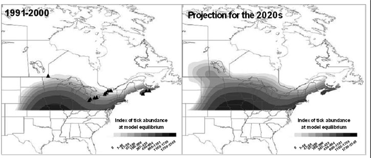 Figure 1. Geographic extent of suitable temperature conditions for Ixodes scapularis in eastern and central Canada